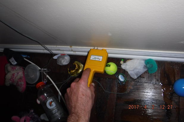 Images SERVPRO of Levittown
