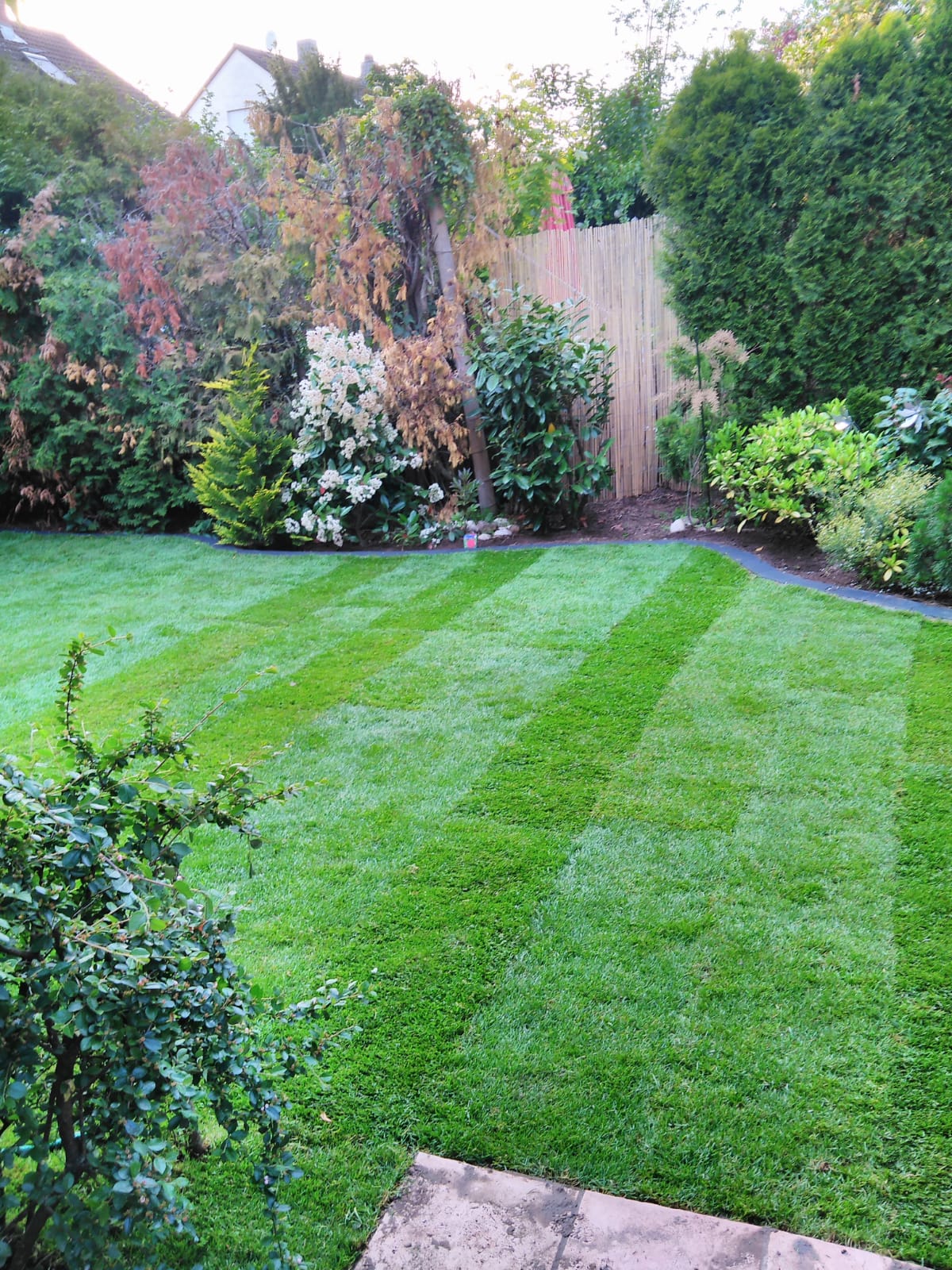 Grünpflege Schuck, Bergstr. 13 in Oberzent