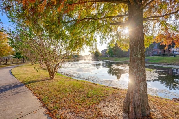 Images Chateau Mirage Apartment Homes