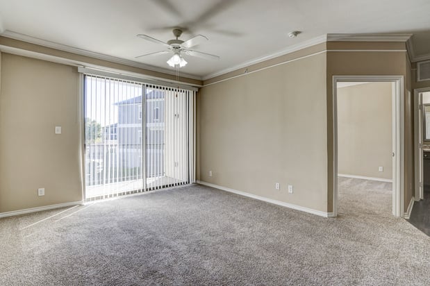 Images Saxony at Chase Oaks Apartments