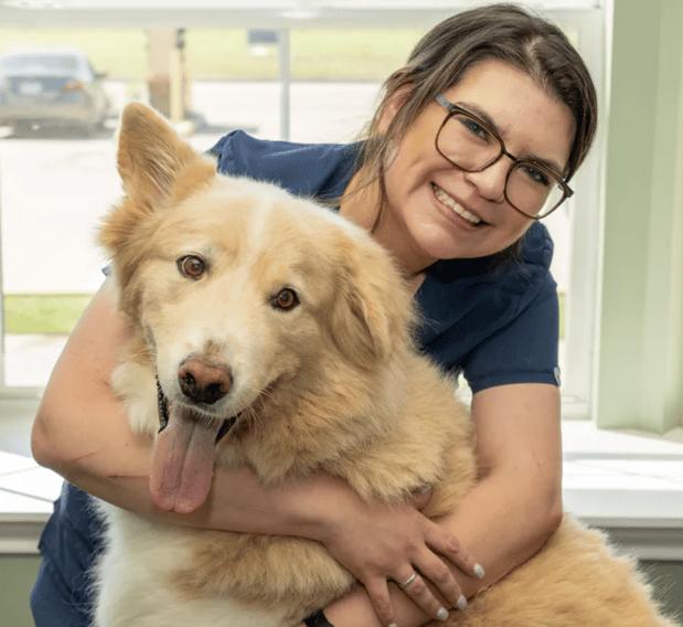 Images Oak Forest Veterinary Hospital