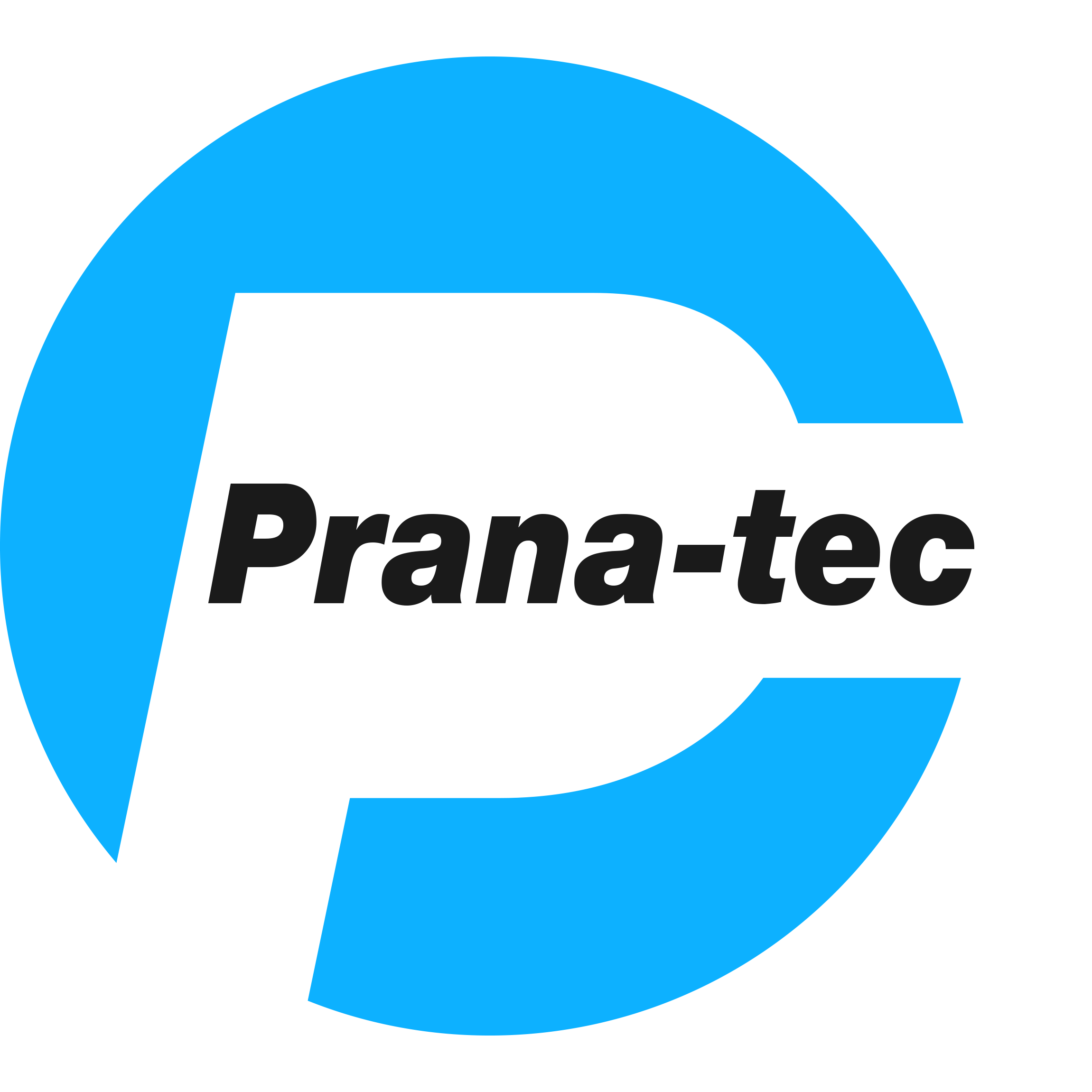 Logo Prana-tec GmbH