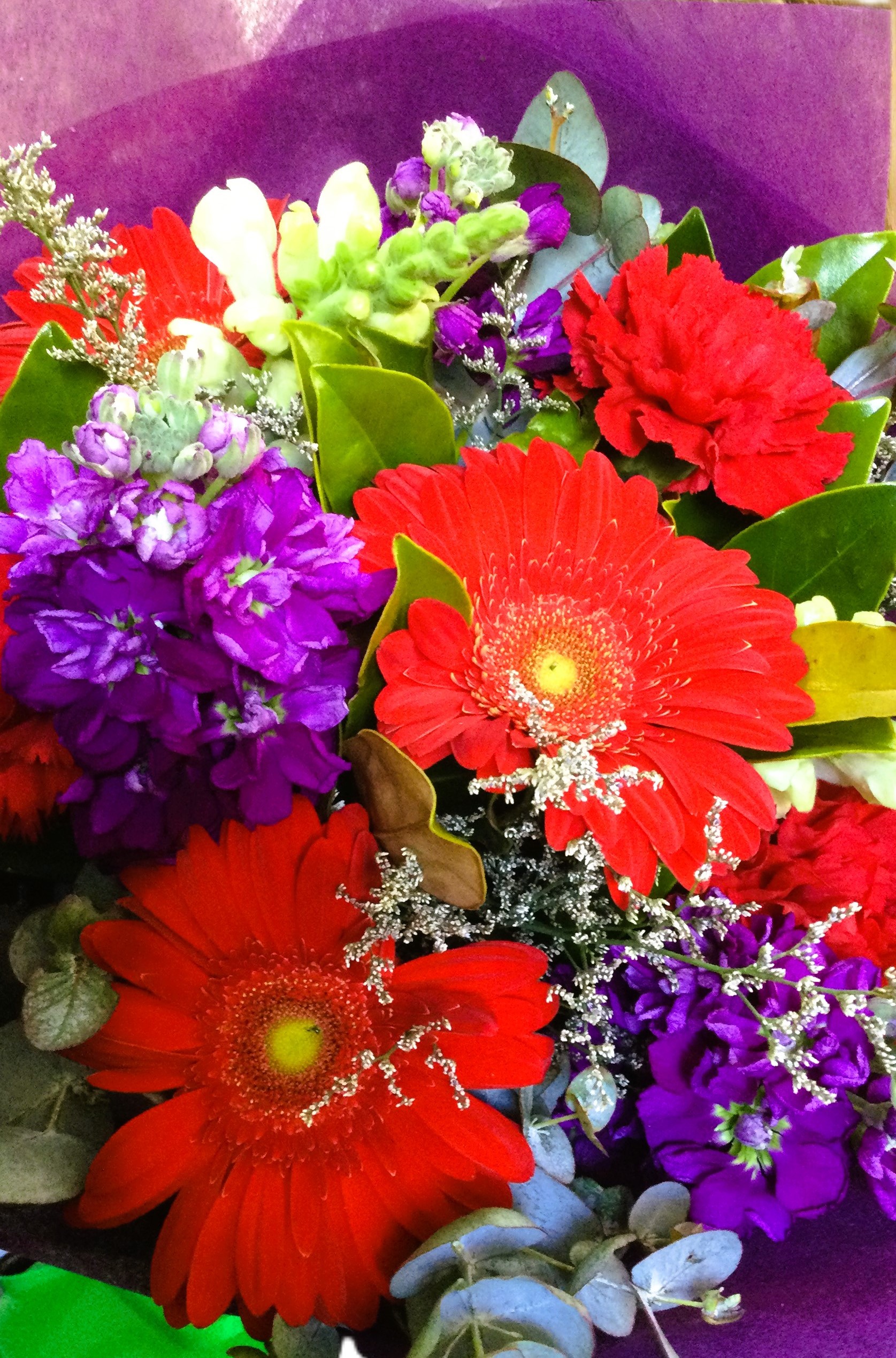 Images Blooms and Botanicals
