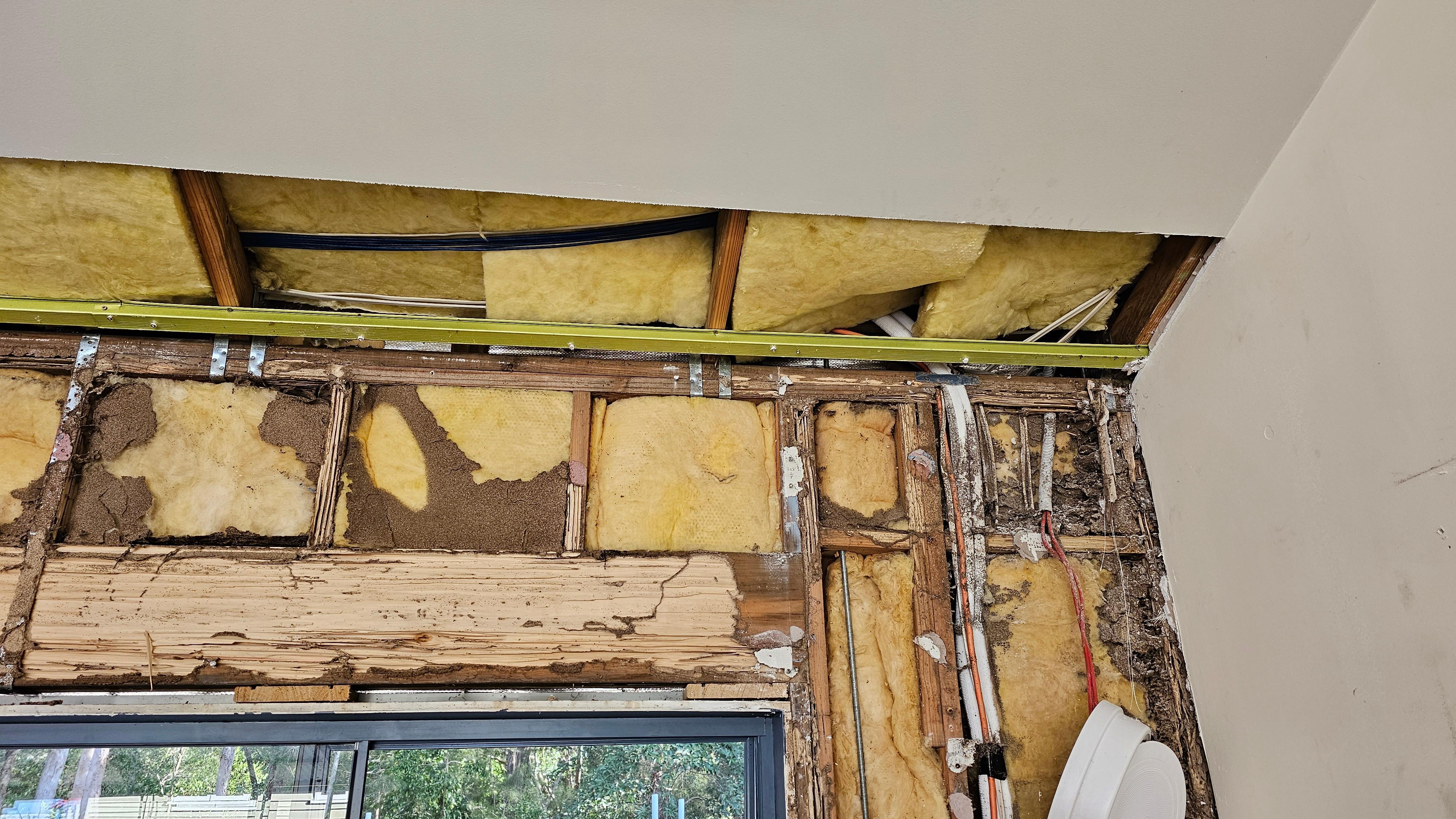 Images GC Pest Control Gold Coast