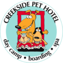 Circular Image