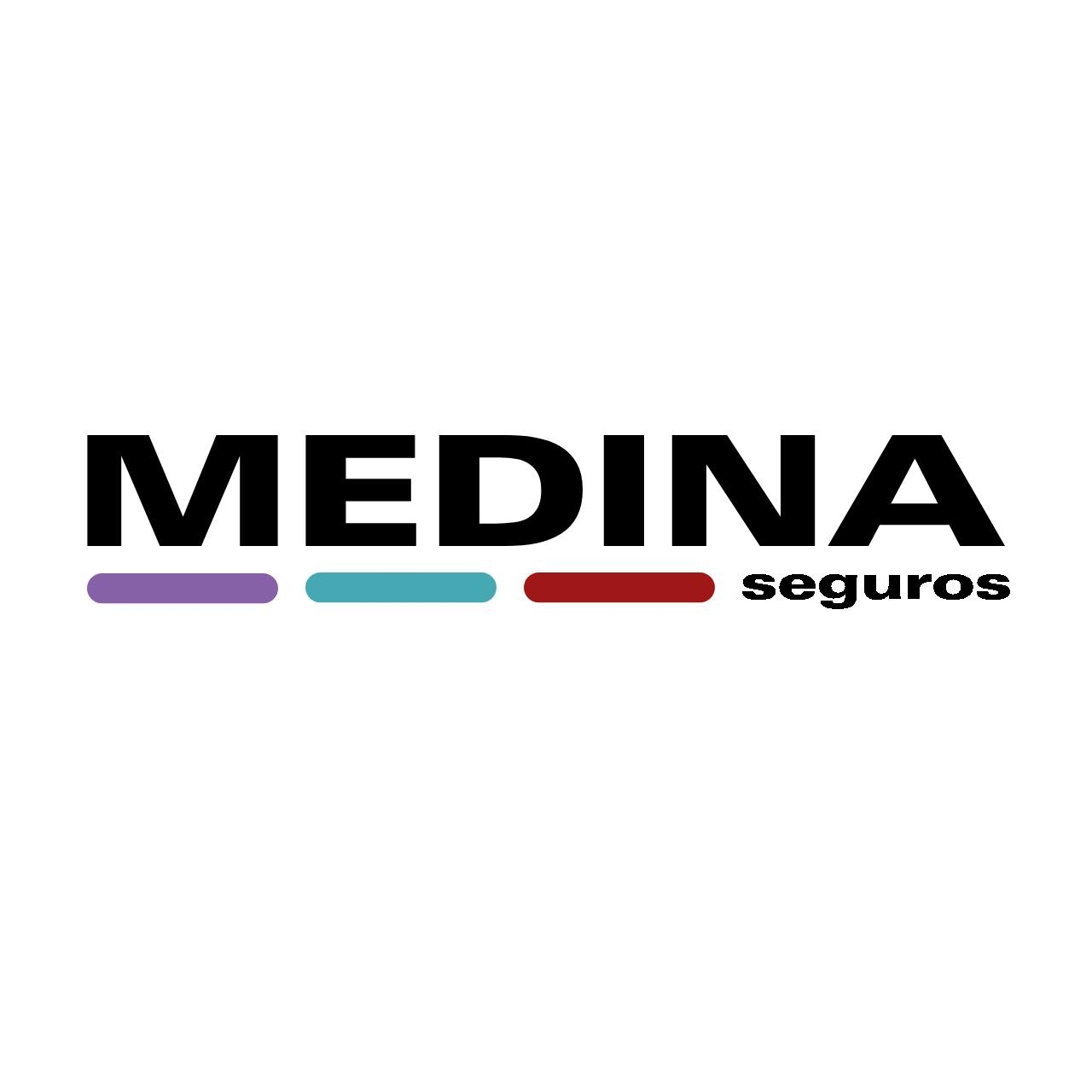 Helvetia Jaén Logo