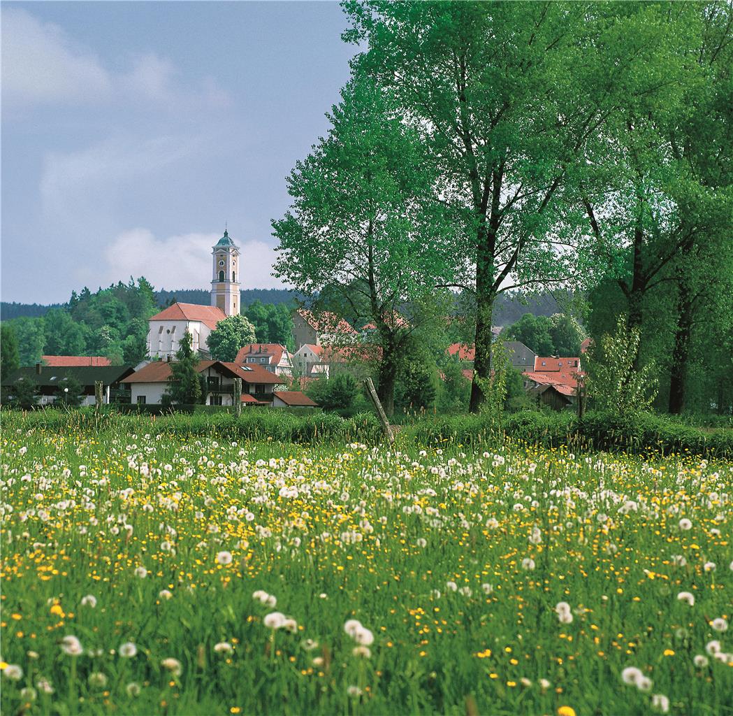 Best Western Aparthotel Birnbachhoehe, Am Aunhamer Berg 3 in Bad Birnbach