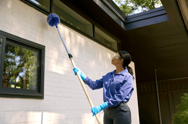 Images PURCOR Pest Solutions
