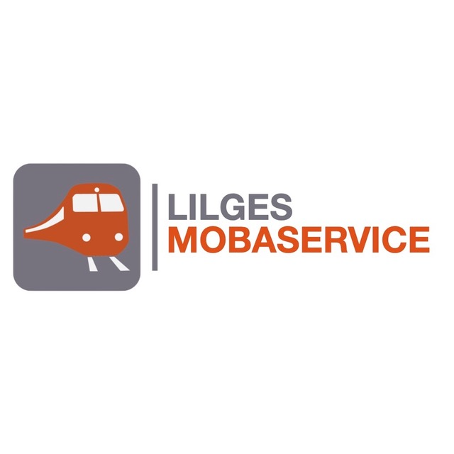 Lilges Modelleisenbahnservice in Osterhorn - Logo