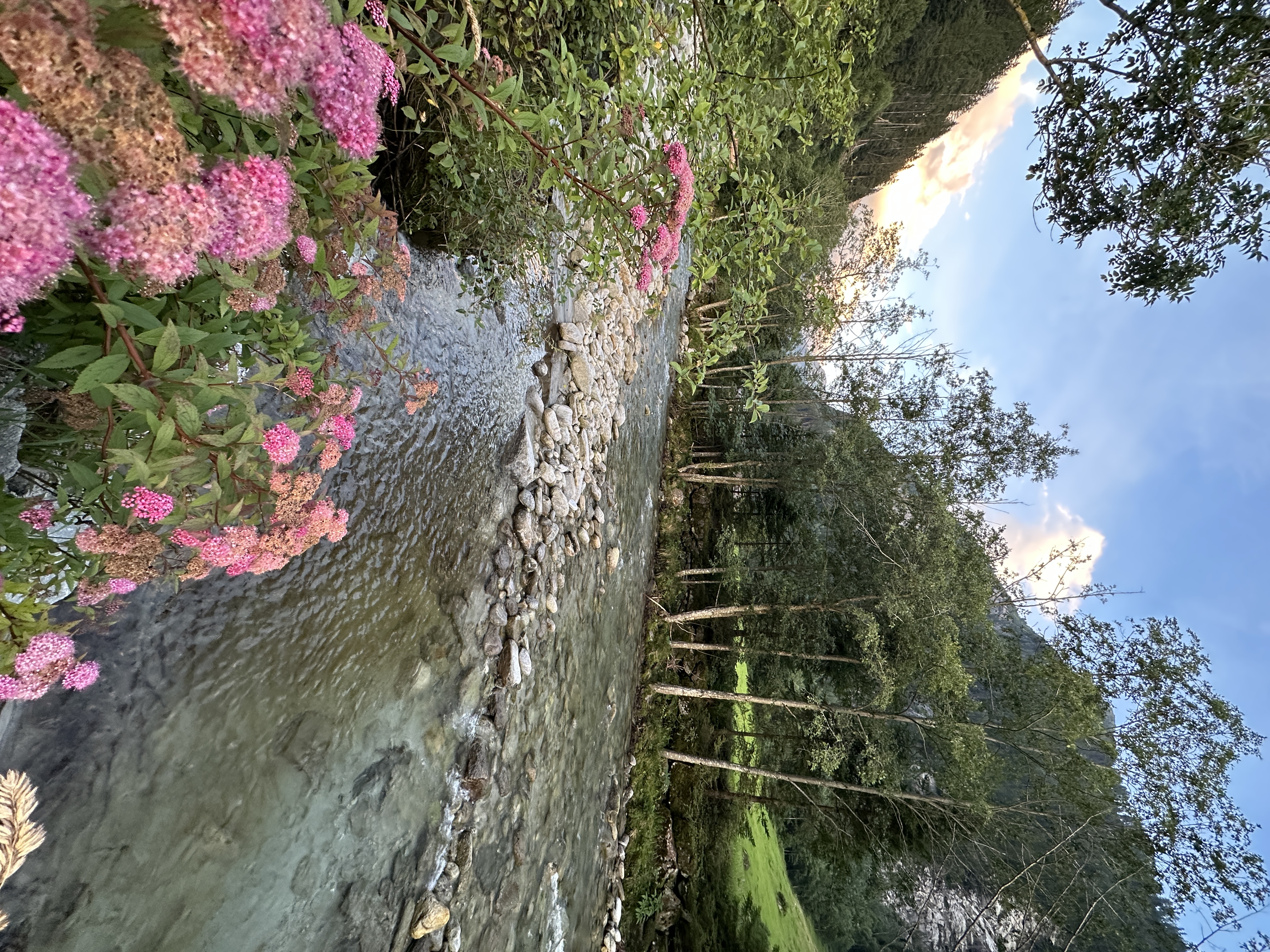 Bild 2 von Gasthaus Häusling Alm