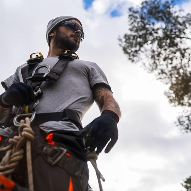 Images Spears Tree Experts Inc.