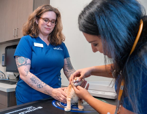 Images VCA Veterinary Hospital of Leon Springs