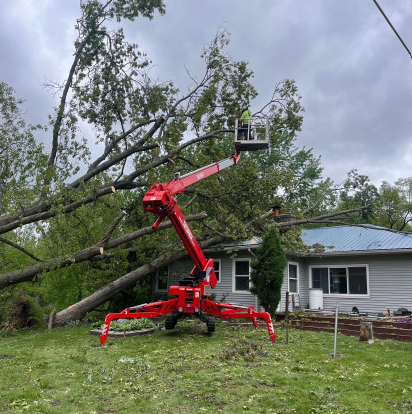 Woodman's Tree Service Image