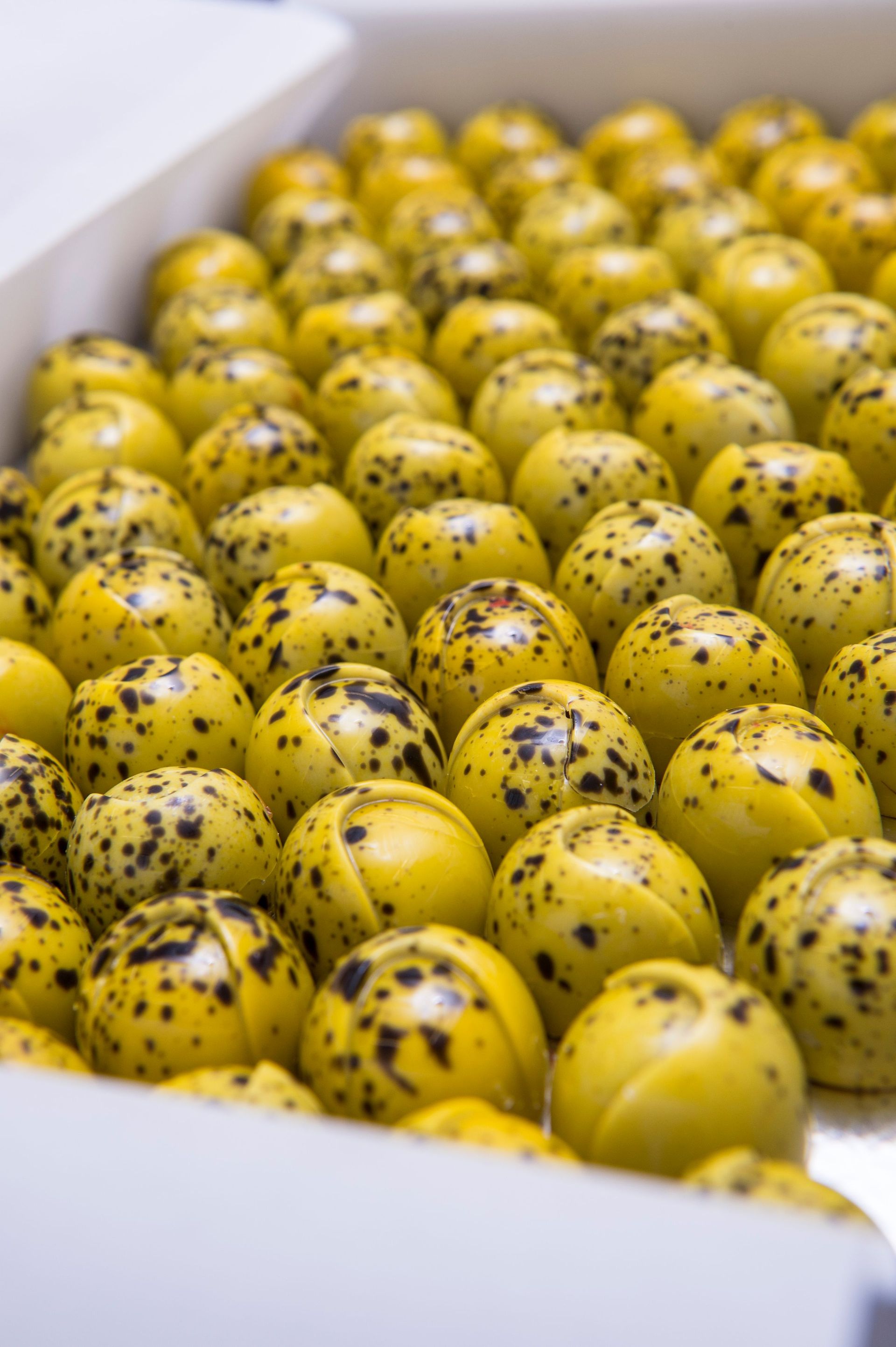 Bilder La Chocolaterie de Genève