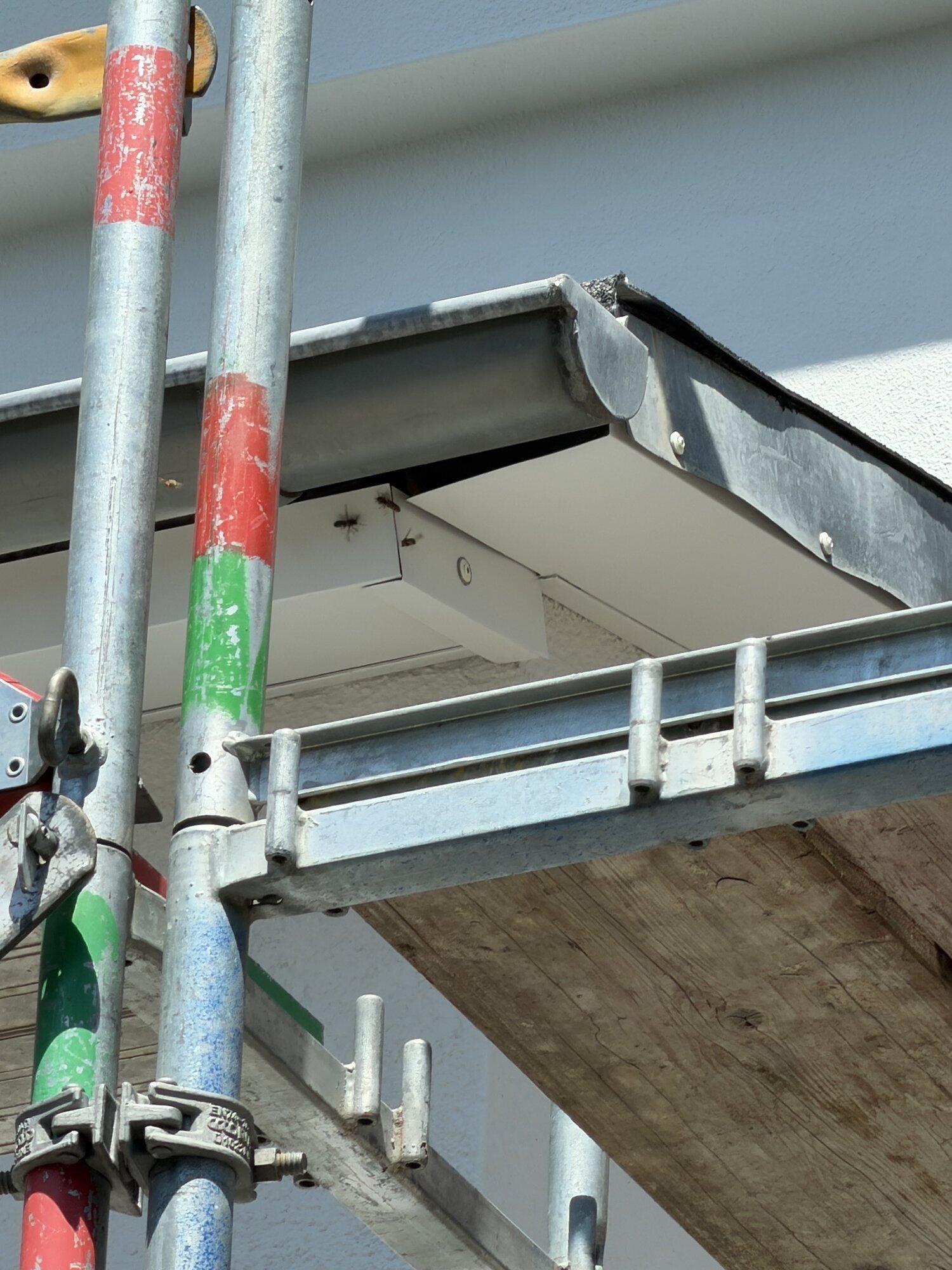 Kobsch Schädlingsbekämpfung in Düsseldorf