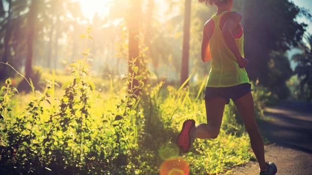 Images Toll Brothers at Hosford Farms - Terra Collection