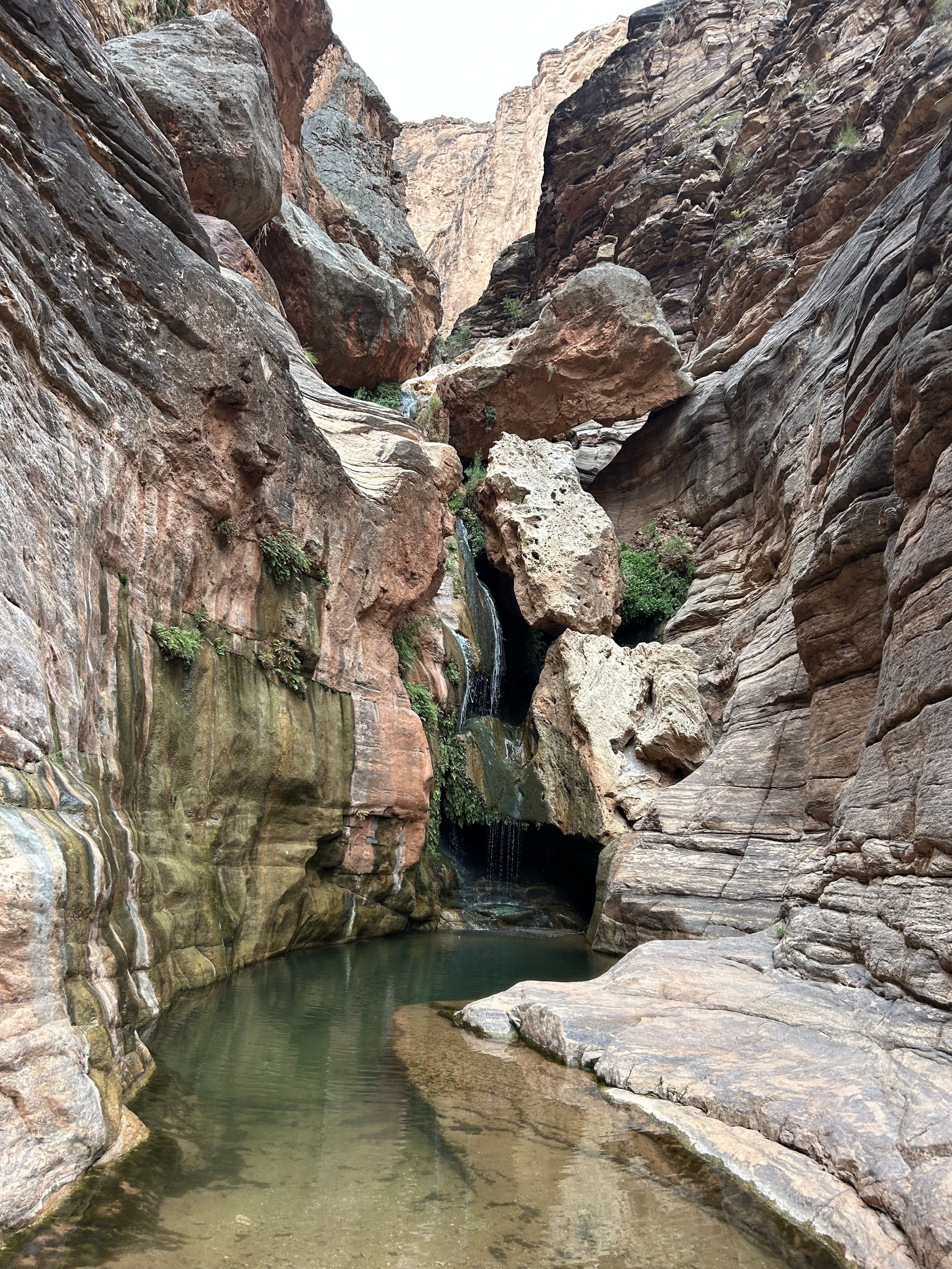 Grand Canyon River rafting, family vacation 