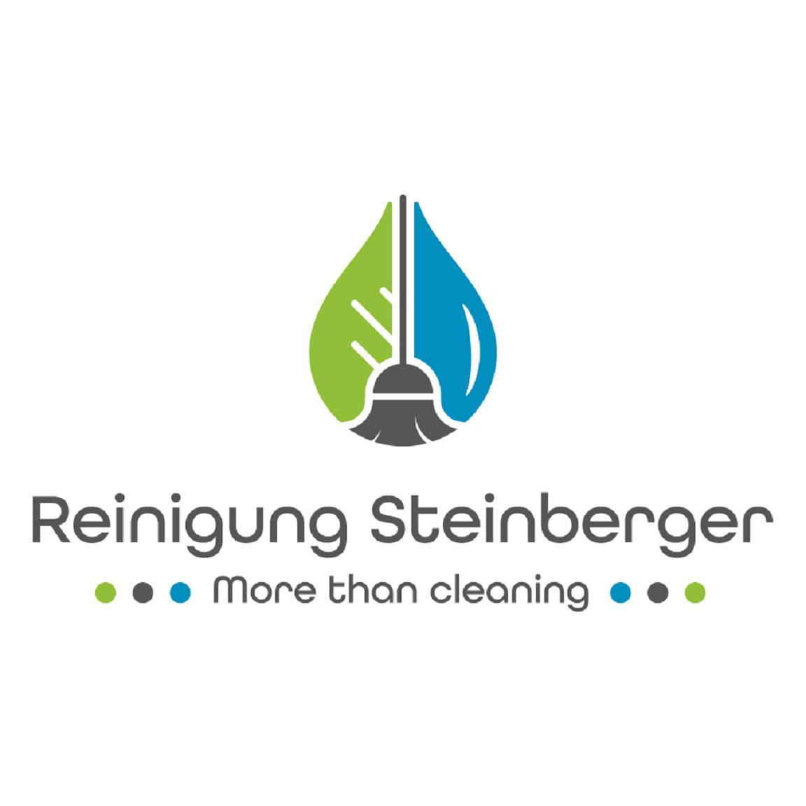Gebäudereinigung Steinberger Reinigungs-GmbH Logo
