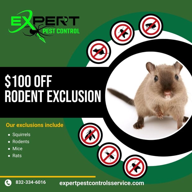 Images Expert Pest Control