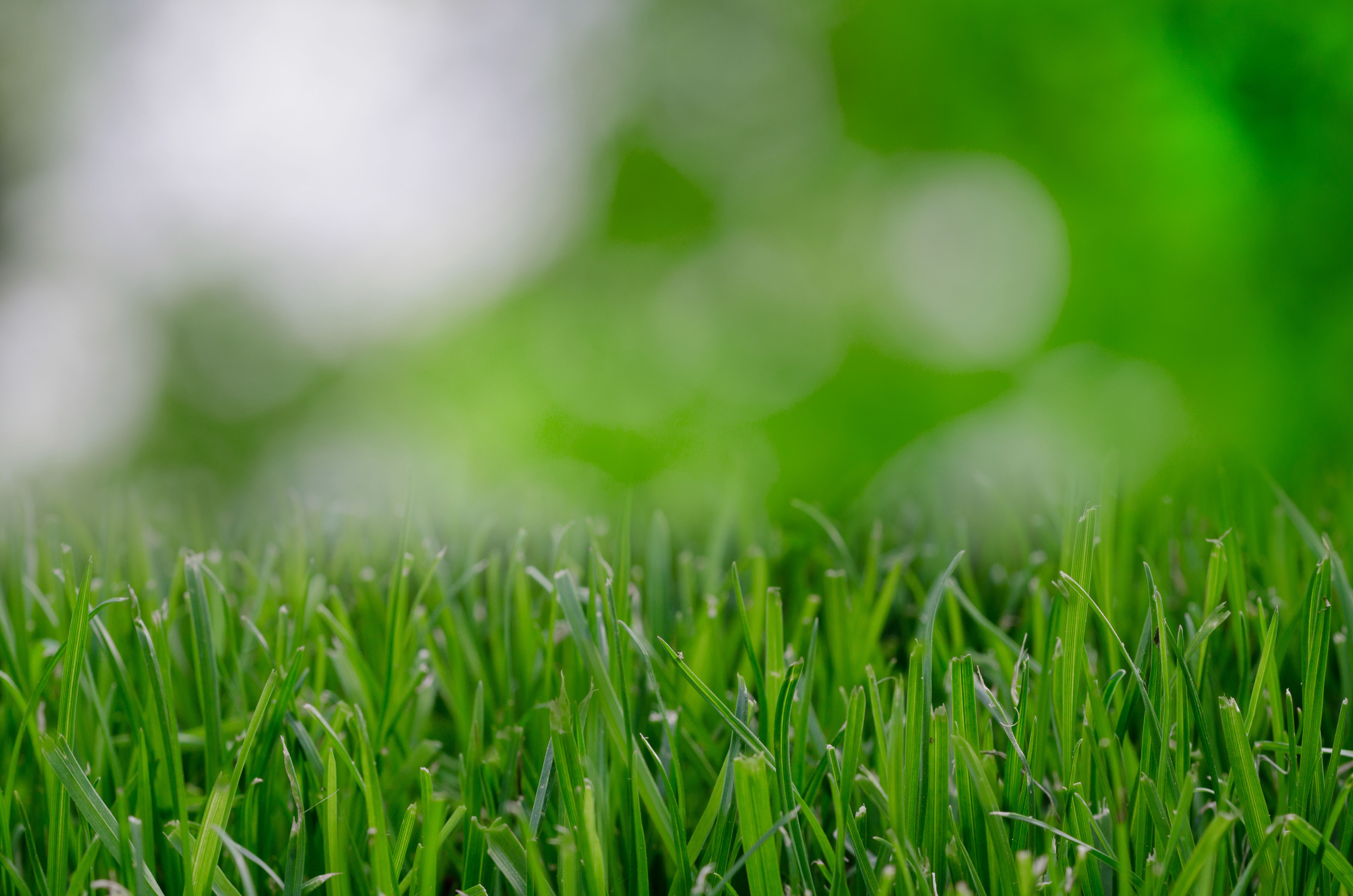 Rainmakers Lawn Care & Landscapes