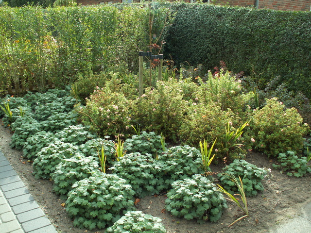 Images Skibbild Anlægsgartner A/S