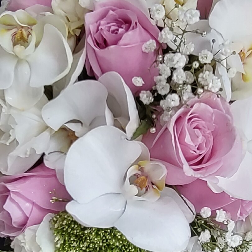 Images Betty Flower