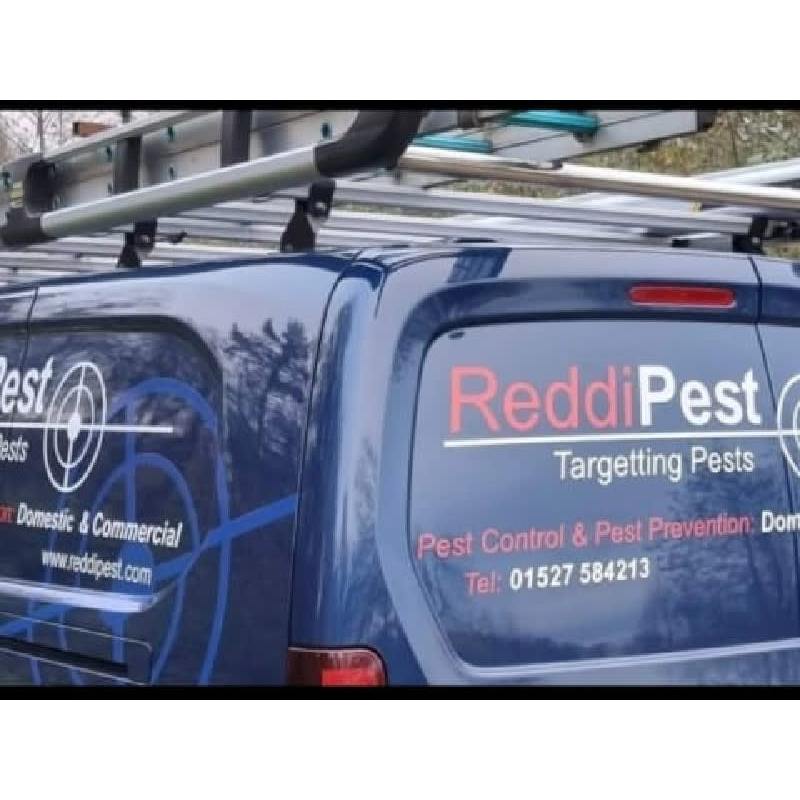 LOGO Reddi Pest Ltd Redditch 01527 584213