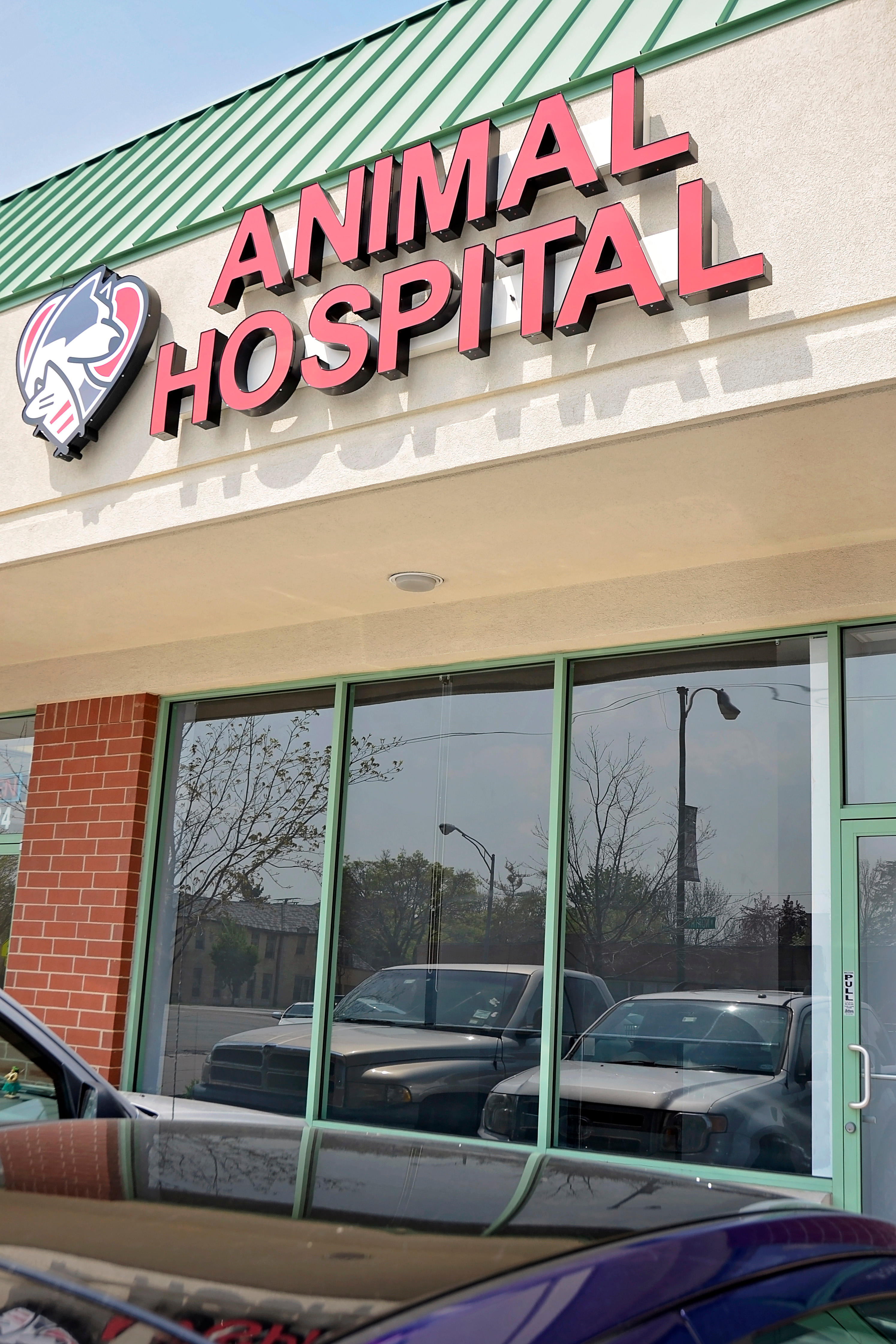 Companion Animal Hospital Oak Park Coupons near me in Chicago, IL 60707
