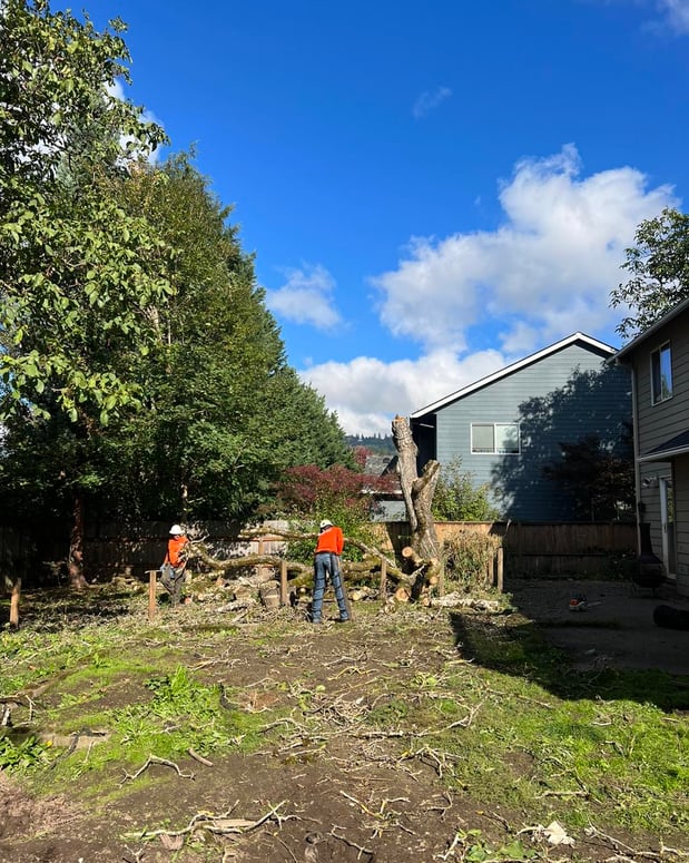 Images Alex's Quality Tree Service