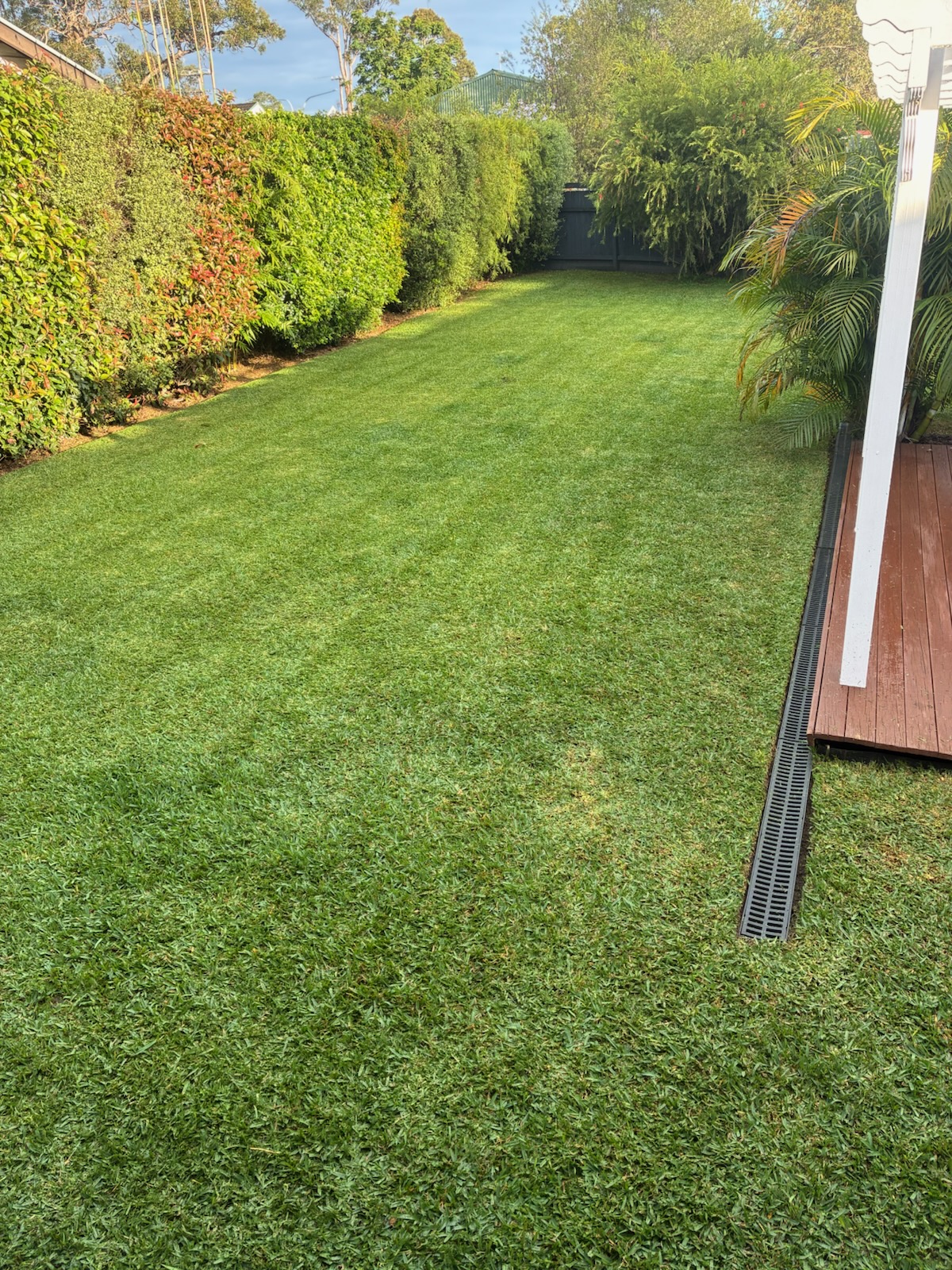 Images Oasis Lawns & Gardens