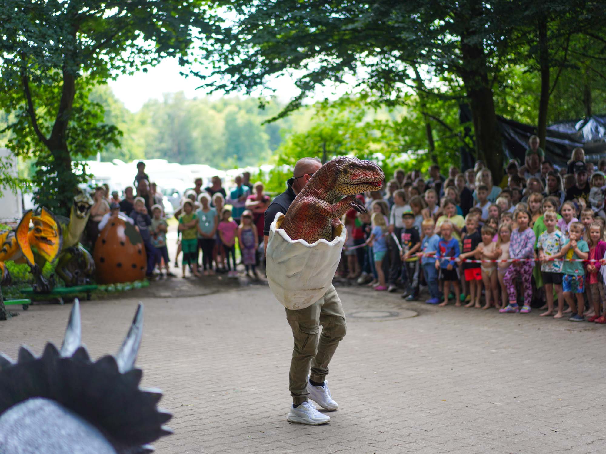 Bilder Familiencampingplatz Haselünne