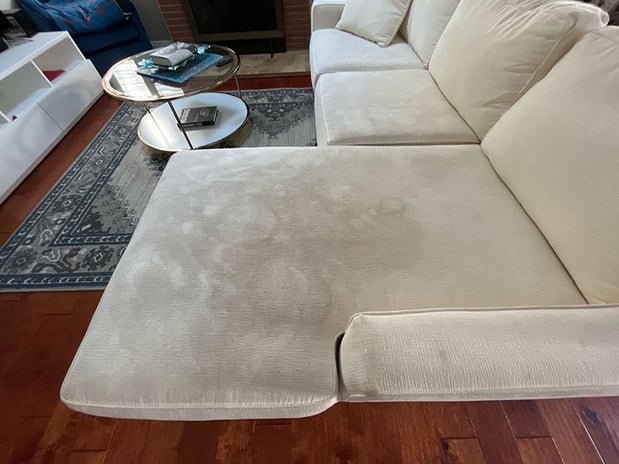 Images Zest Carpet Cleaning