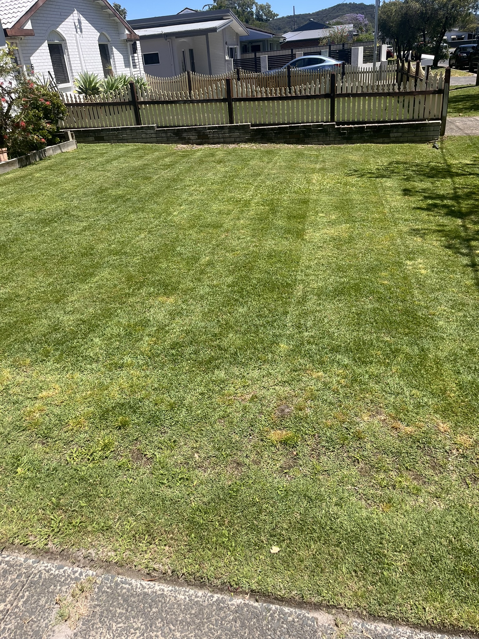 Images Budget Lawns Plus