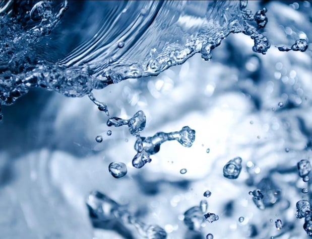 Images White Lotus Health and IV Wellness