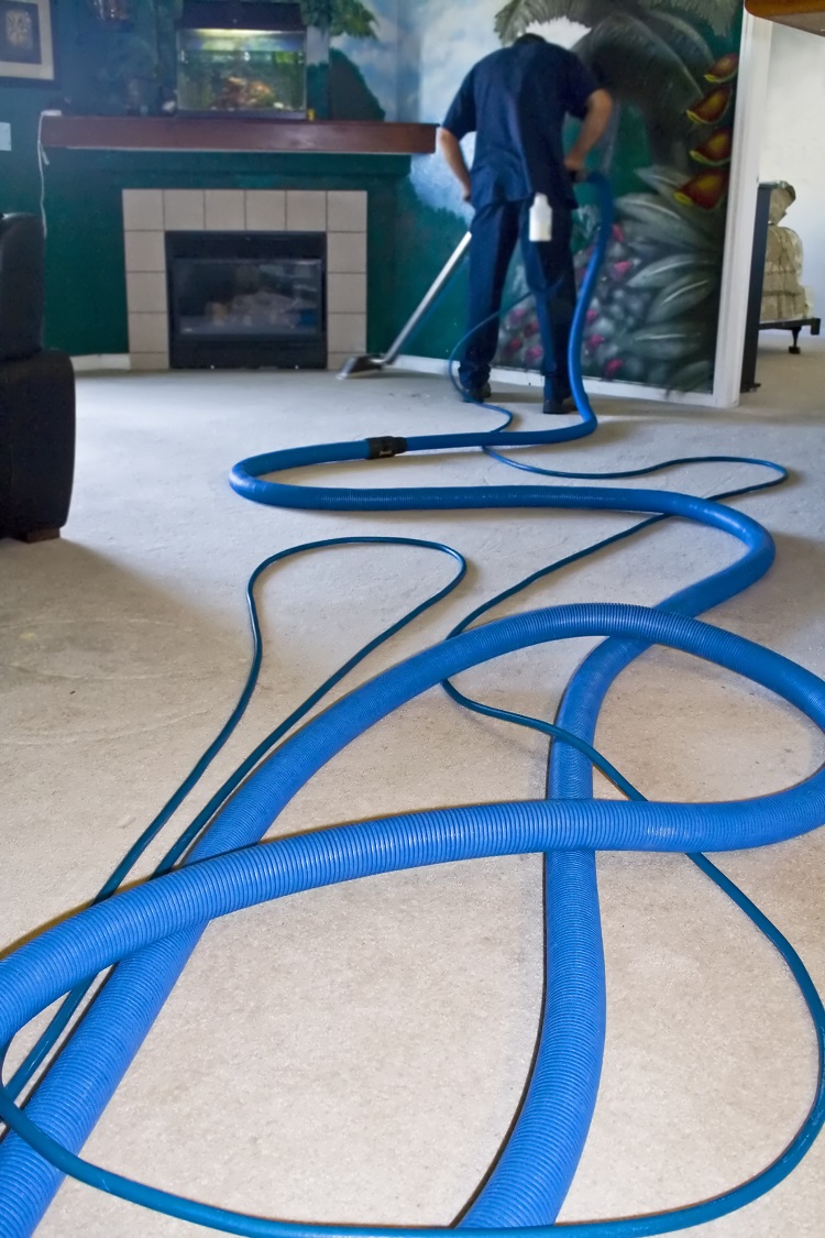 Carpet Cleaning Pros Phoenix Photo