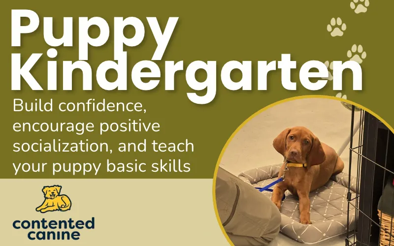 Image of Local Pet Event Puppy Kindergarten | Group Dog Training Course | Monroe WA Nearby