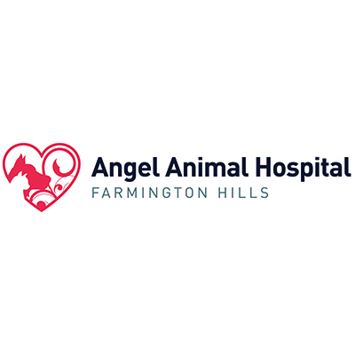 Angel Animal Hospital