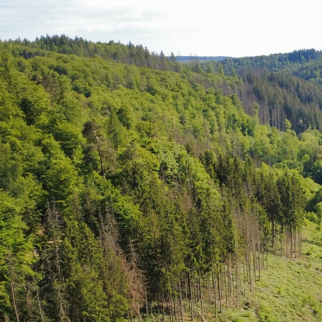Fasten & Balance - Larissa Hoffmann, Strüthbachweg 1 in Heidenrod