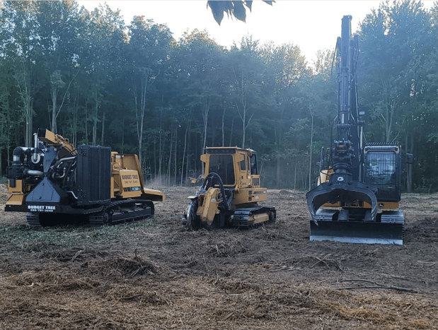 Images Budget Tree Service