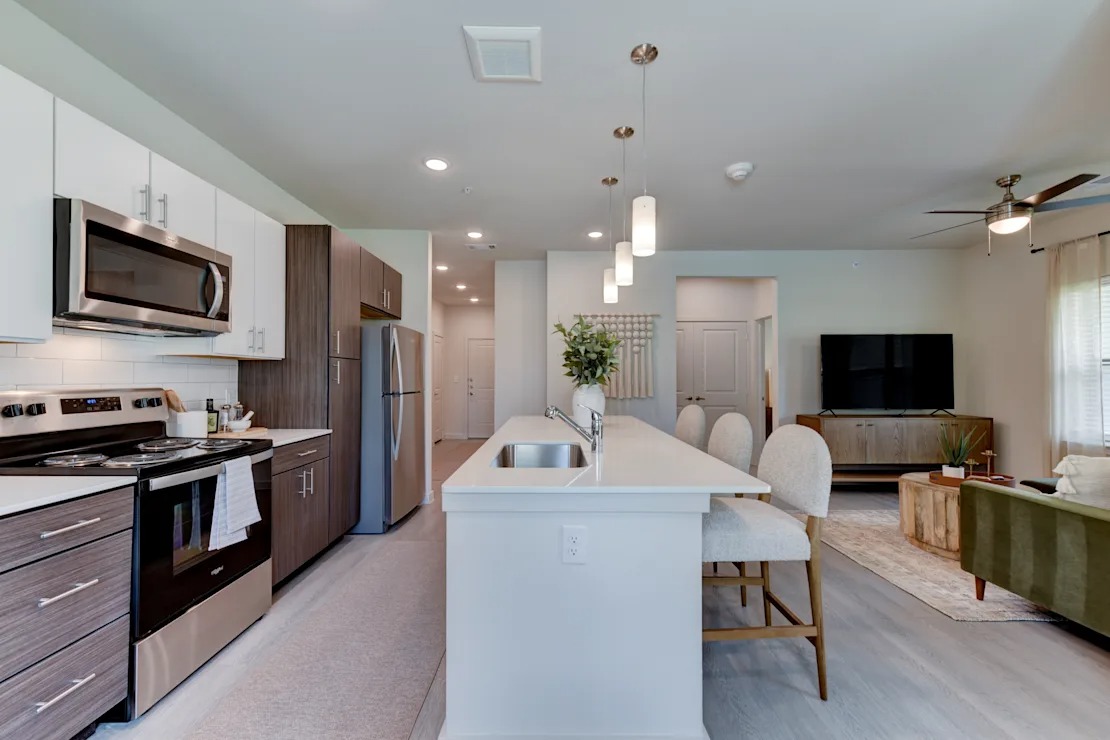 Stainless Steel Appliances and Quartz Counters 