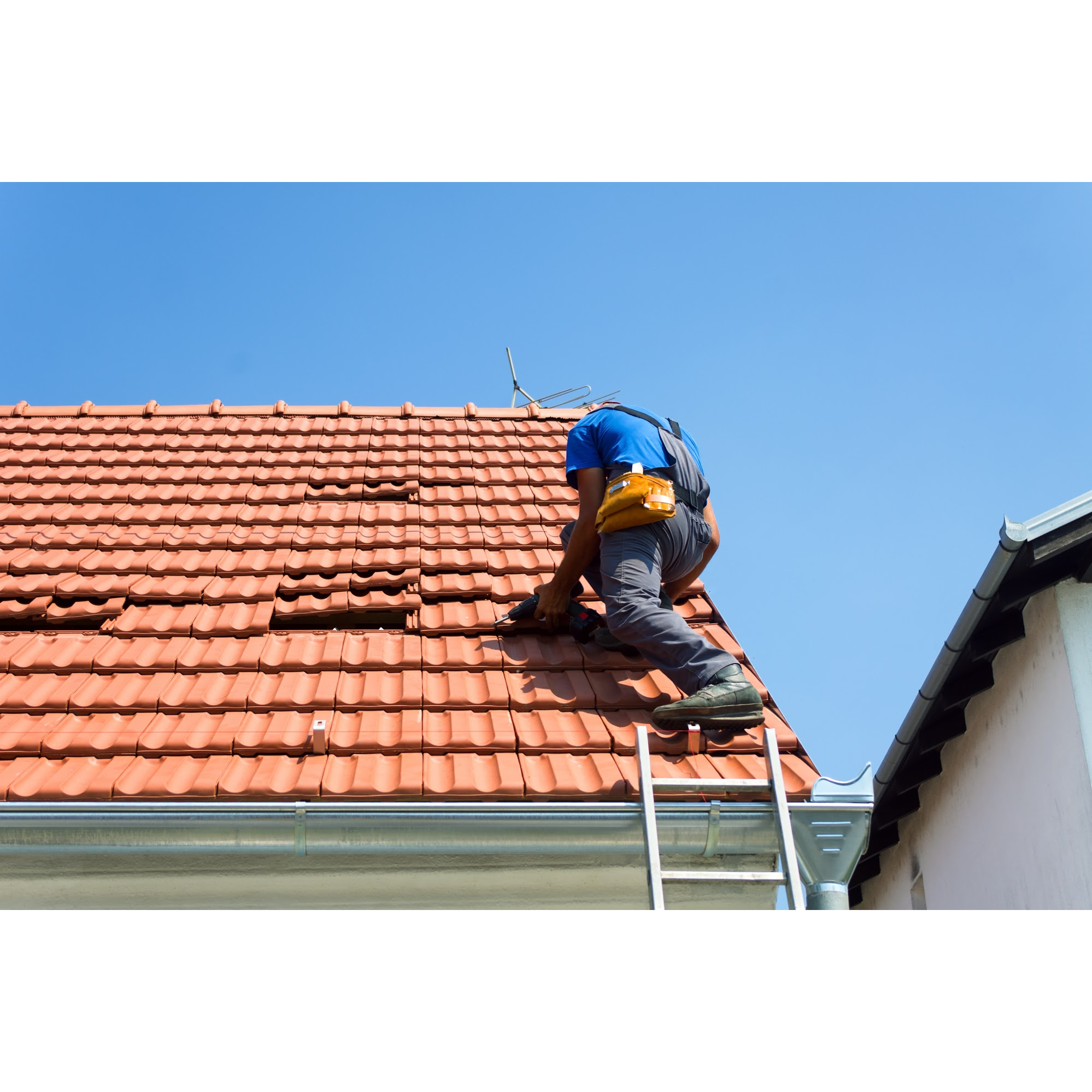 National Remodelers Specialists LLC