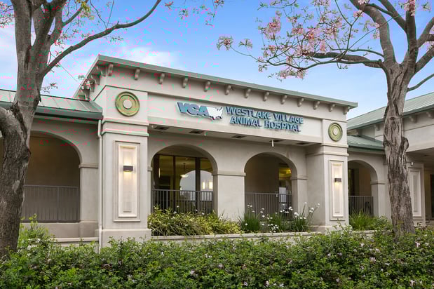 Images VCA Westlake Village Animal Hospital