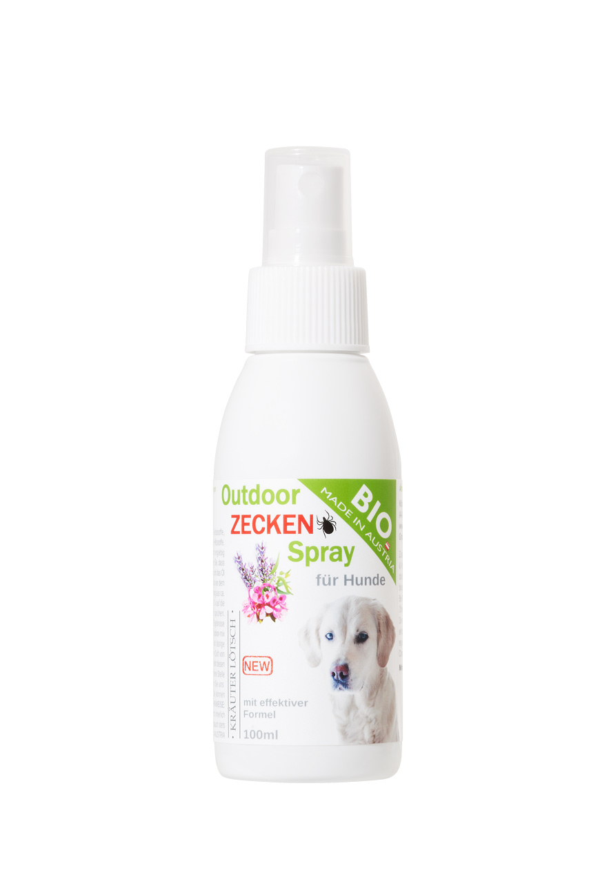 Bilder Kräuter Lötsch