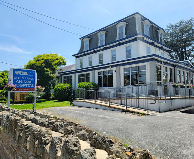 Images VCA Old Marple Animal Hospital