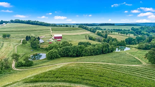 Images Orchard Valley Farm