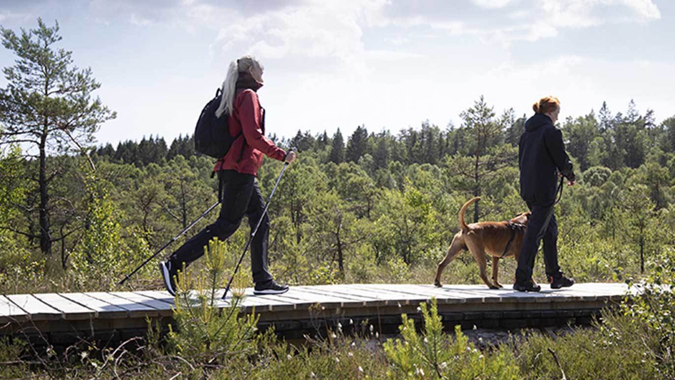 Images Team Sportia Stenungsund
