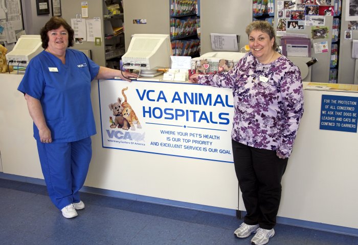 Images VCA South Shore Quincy Animal Hospital