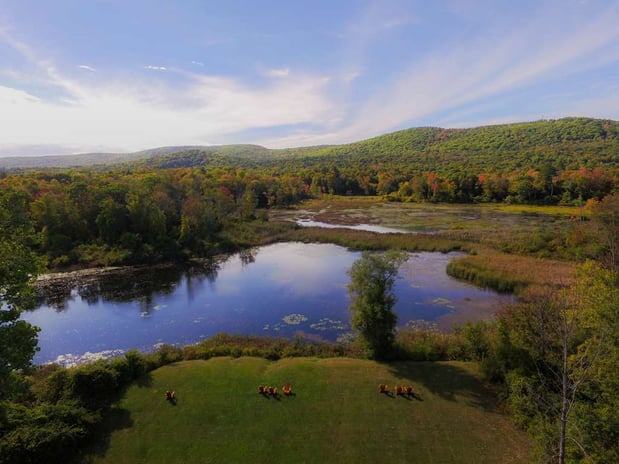 Images Hampton Inn & Suites Berkshires-Lenox