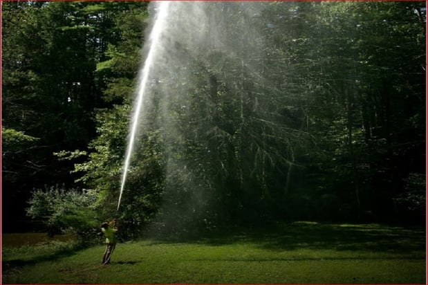 Images Evergreen Tree Service