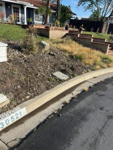 Images Palacios Landscaping